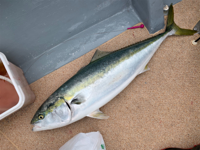 ドリームチェイサー丹後沖ジギング