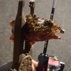 アジング 練習 122