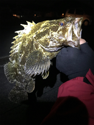 自己記録更新！