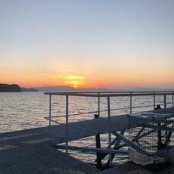 渋め小島養魚場