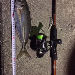 まだまだアジング