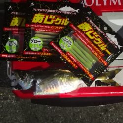 アジング練習 123