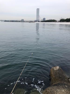 せっかくのメバル凪やけど…