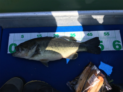 1日ボート釣行！