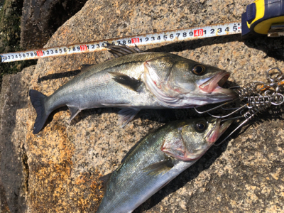 やっと釣れました！