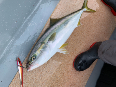 ドリームチェイサーさんにてジギング