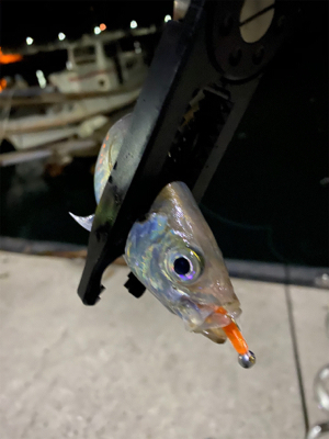 アジとメバルを求めて