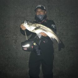 珍しくバチの恩恵を頂きましたっ!