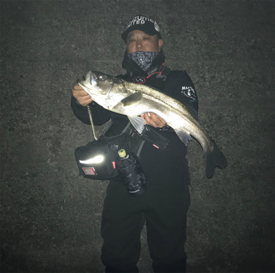 珍しくバチの恩恵を頂きましたっ!