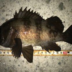 2020ライトゲーム第10戦