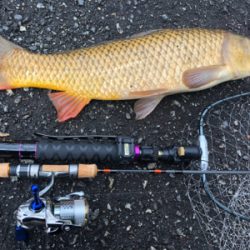 海は寒いし釣れないし、管釣りは閉鎖、なので近場でカープフィッシング