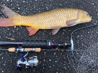 海は寒いし釣れないし、管釣りは閉鎖、なので…