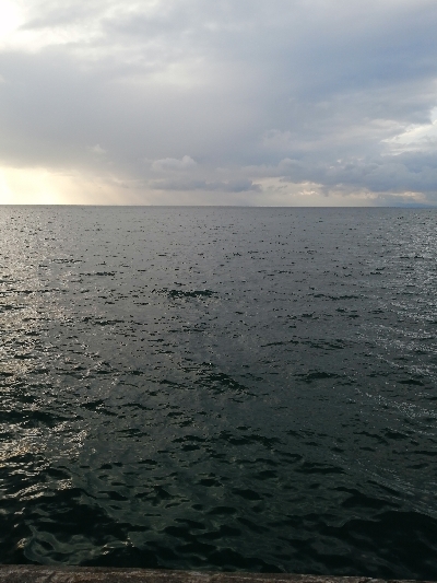 久しぶりの太刀魚