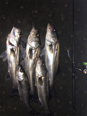 雨後ナイトゲーム