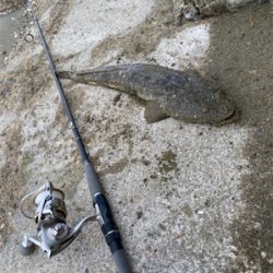 チャリンコ爆走からの…