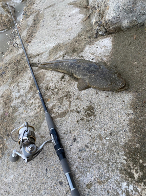 チャリンコ爆走からの…