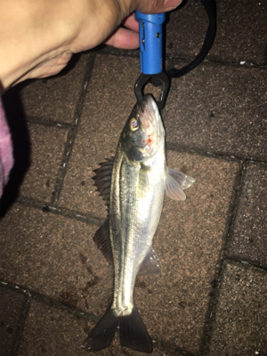 時合終了後の粘り