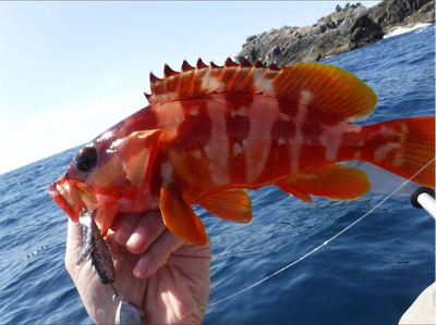 カヤックフィッシング！