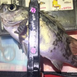 久々の平日フィッシング