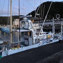 ティップランでレッドモンスター狙い