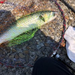 とある20ツインパワーの入魂式！？