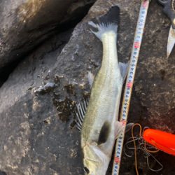 なんとか1匹❗️