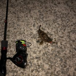 今回は渋かった