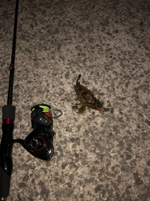 今回は渋かった