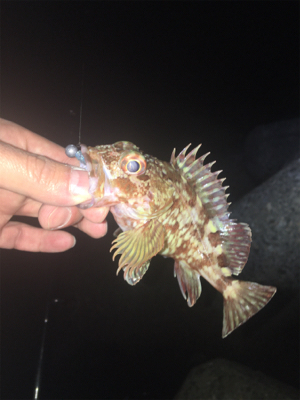 食後に少しだけ