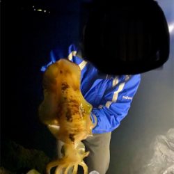 海からの贈り物