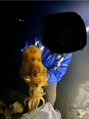 海からの贈り物