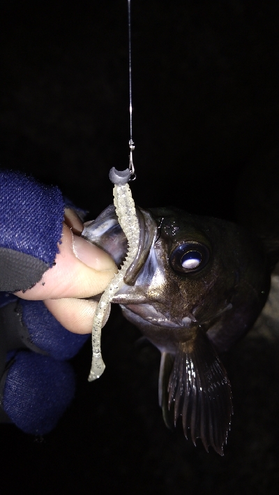 ナイトメバリング