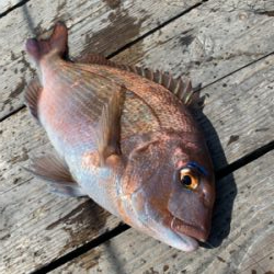 ポート田尻さんにて