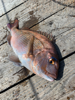 ポート田尻さんにて