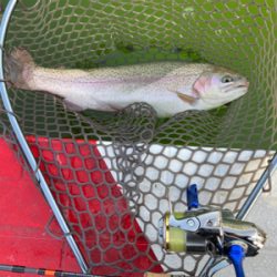 服部緑地再会 ルアーは初心者には地獄ですよ。