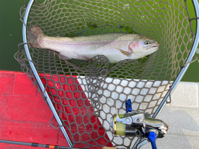 服部緑地再会 ルアーは初心者には地獄ですよ。