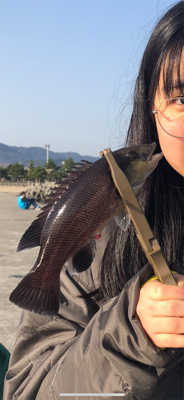 シラサエビの胴付き探り釣り