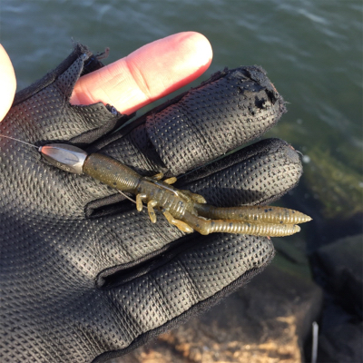 淀川ブリームゲーム