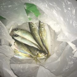 海は私の魚市場!