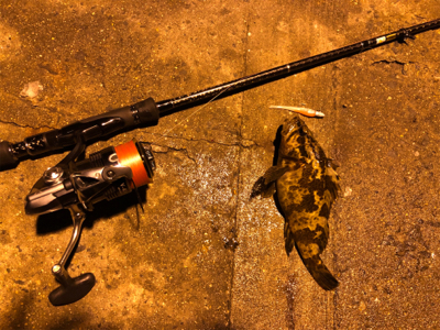 干潮潮止まりでタケノコ釣り