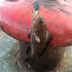 追い風から向かい風へ