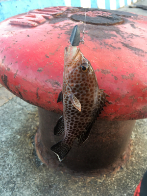 追い風から向かい風へ