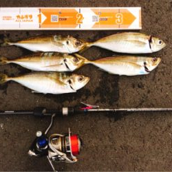 アジングまぁまぁ調子