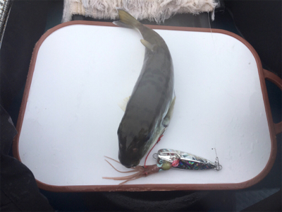 県南でカヤックフィッシング！