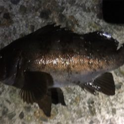 人は多かったですが