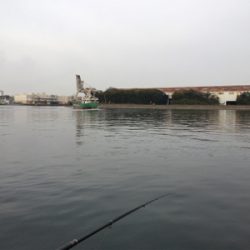 エビで鯛を釣る