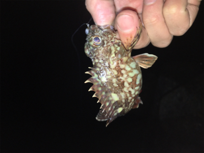 仕事帰りにちょっと