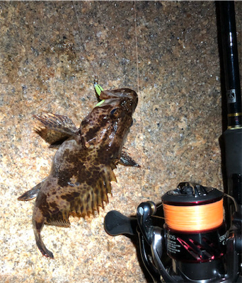 とある深夜のライトロック