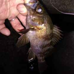 ナイトメバリング