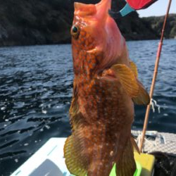 マイボートでタイラバ、ジギング釣行